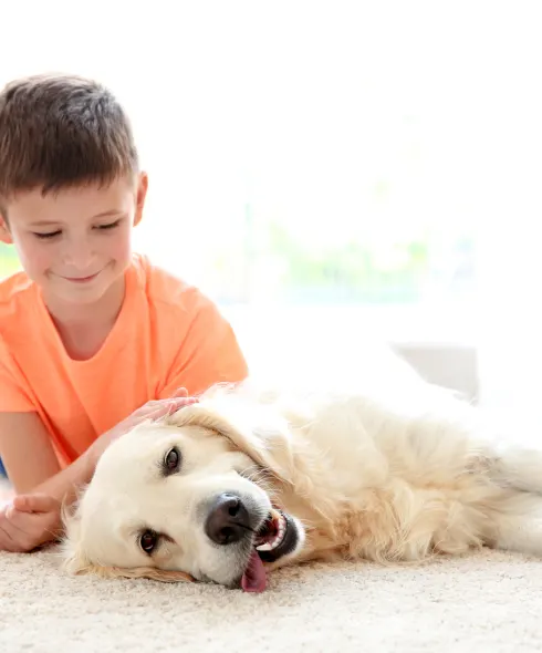 Boy and his dog on white carpet