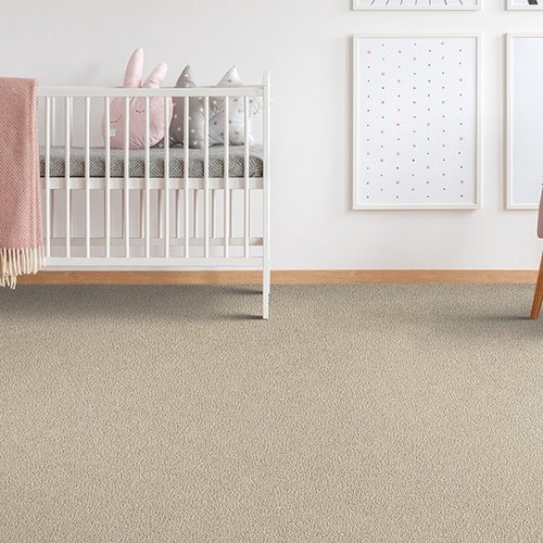Contemporary carpet in Folsom, CA from Family Floors & More